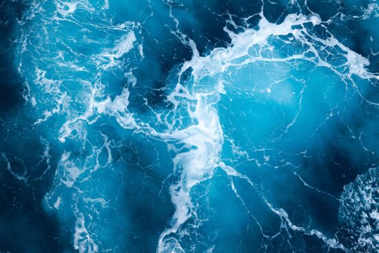 ¿Qué hay en el agua del océano?